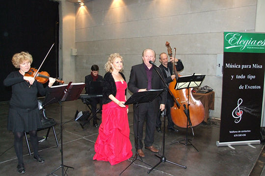 Musicos de Zaragoza para conciertos, bodas y todo tipo de eventos. www.elegia.es Tel.679 590 436