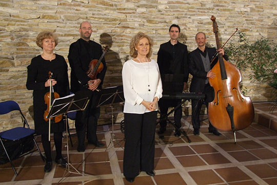 Musicos de Zaragoza para conciertos, bodas y todo tipo de eventos. www.elegia.es Tel.679 590 436