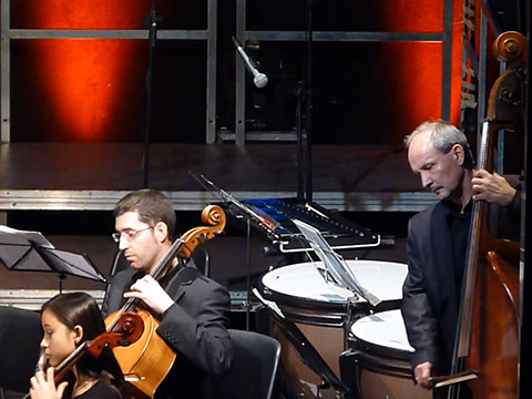 Musicos de Zaragoza para conciertos, bodas y todo tipo de eventos. www.elegia.es Tel. 679 590 436